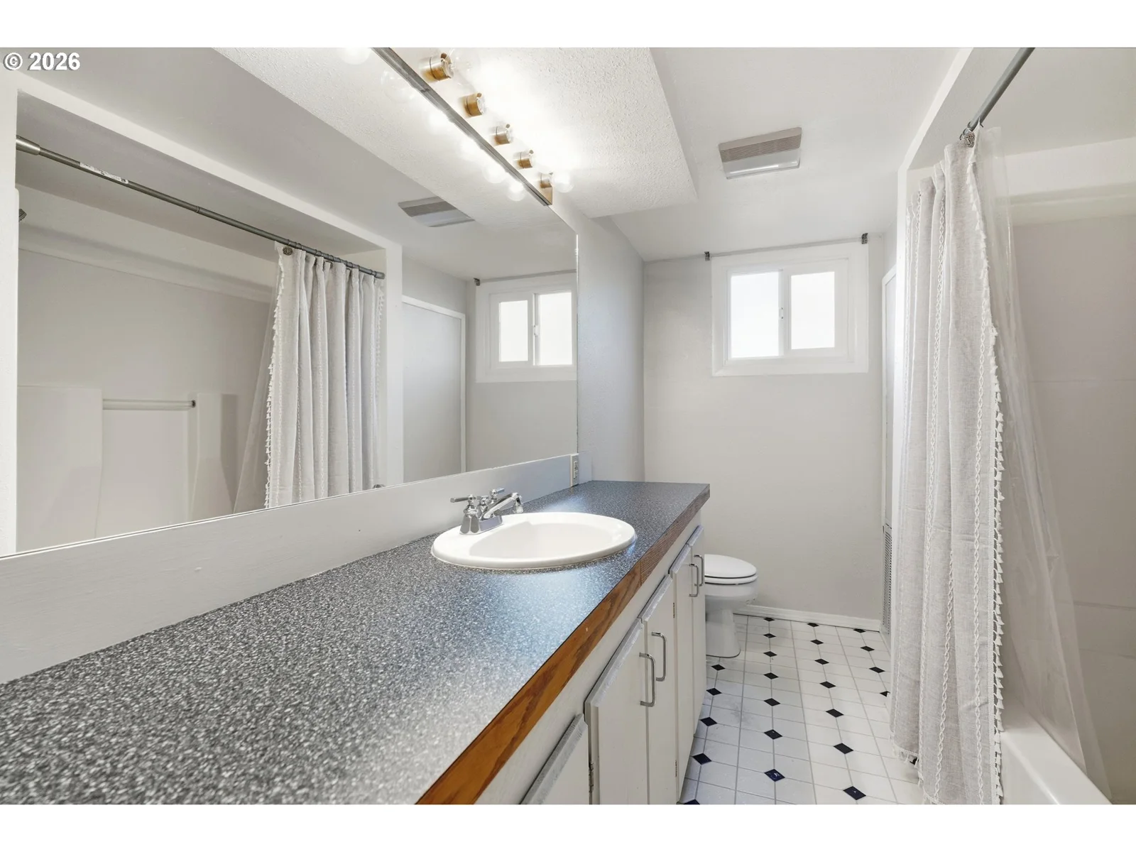 Lower level bathroom