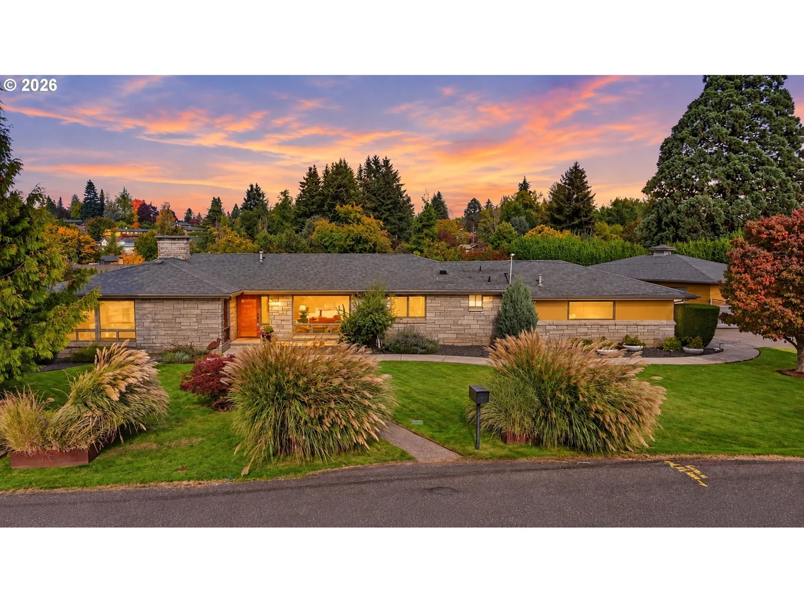 Home and surrounding trees