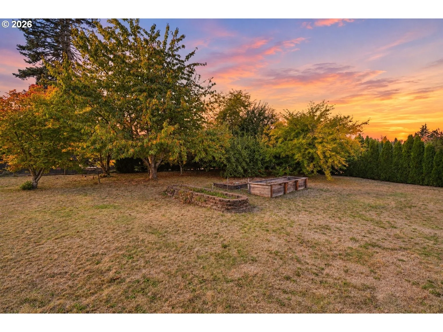 Backyard and garden area